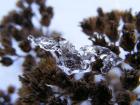 foto/forum/2010/th-img11948.jpg