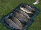 foto/forum/2010/th-img11969.jpg
