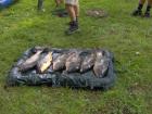 foto/forum/2010/th-img11986.jpg