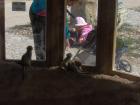 foto/forum/2010/th-img11992.jpg