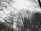 foto/forum/2010/th-img12035.jpg