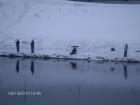 foto/forum/2010/th-img12109.jpg