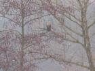 foto/forum/2010/th-img12111.jpg