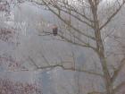 foto/forum/2010/th-img12112.jpg