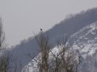 foto/forum/2010/th-img12113.jpg