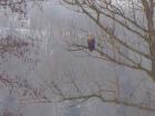 foto/forum/2010/th-img12115.jpg