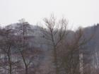 foto/forum/2010/th-img12117.jpg
