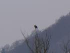foto/forum/2010/th-img12118.jpg