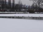 foto/forum/2010/th-img12120.jpg