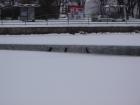 foto/forum/2010/th-img12121.jpg