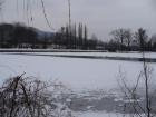 foto/forum/2010/th-img12122.jpg