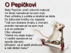 foto/forum/2010/th-img12130.jpg