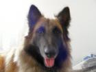 foto/forum/2010/th-img12131.jpg