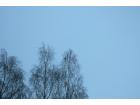 foto/forum/2010/th-img12150.jpg