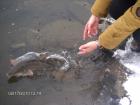 foto/forum/2010/th-img12157.jpg