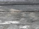 foto/forum/2010/th-img12159.jpg