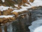 foto/forum/2010/th-img12163.jpg