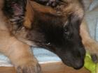 foto/forum/2010/th-img12195.jpg