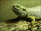 foto/forum/2010/th-img12271.jpg