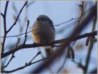 foto/forum/2010/th-img12330.jpg