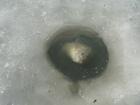 foto/forum/2010/th-img12422.jpg
