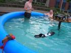 foto/forum/2010/th-img12545.jpg