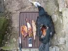 foto/forum/2010/th-img12570.jpg