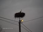 foto/forum/2010/th-img12592.jpg
