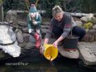 foto/forum/2010/th-img12593.jpg