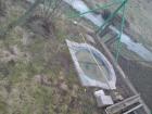 foto/forum/2010/th-img12595.jpg