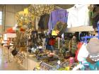 foto/forum/2010/th-img12601.jpg