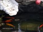 foto/forum/2010/th-img12625.jpg