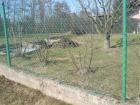 foto/forum/2010/th-img12640.jpg
