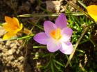 foto/forum/2010/th-img12652.jpg