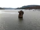 foto/forum/2010/th-img12708.jpg