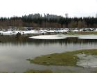 foto/forum/2010/th-img12709.jpg