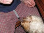 foto/forum/2010/th-img12740.jpg