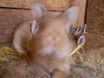 foto/forum/2010/th-img12906.jpg