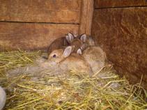 foto/forum/2010/th-img12910.jpg