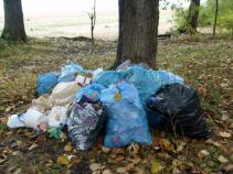 foto/forum/2010/th-img12914.jpg