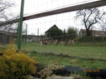 foto/forum/2010/th-img12940.jpg