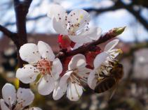 foto/forum/2010/th-img12951.jpg