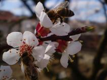 foto/forum/2010/th-img12952.jpg
