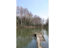 foto/forum/2010/th-img12959.jpg