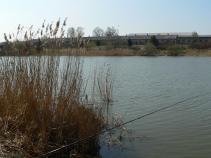 foto/forum/2010/th-img12979.jpg