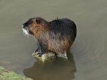 foto/forum/2010/th-img12993.jpg