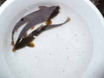 foto/forum/2010/th-img13001.jpg