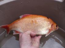 foto/forum/2010/th-img13003.jpg