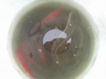 foto/forum/2010/th-img13010.jpg