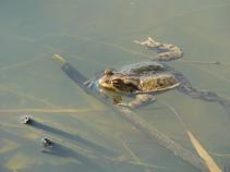 foto/forum/2010/th-img13011.jpg